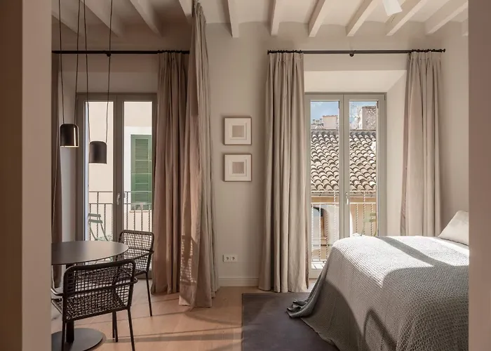 Can Veri Suites
